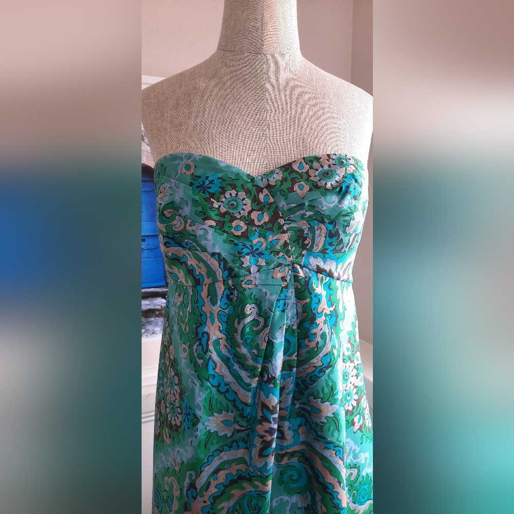 J Crew silk dress . Size 4